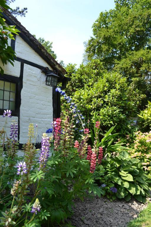 The Old House Inn Burstow Esterno foto